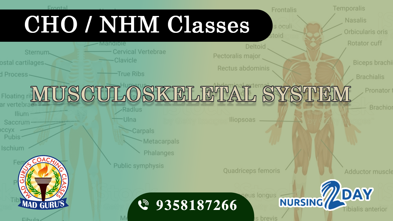 ANM Test Series 2025 