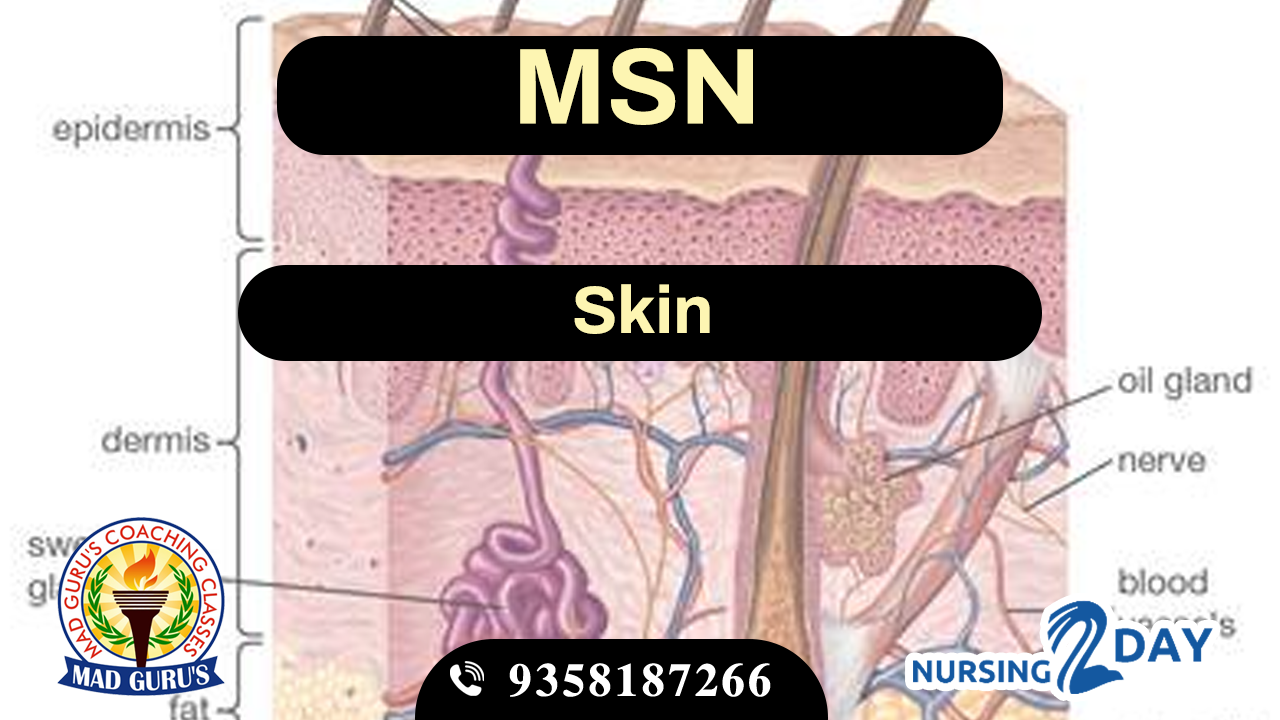 ANM Test Series 2025 