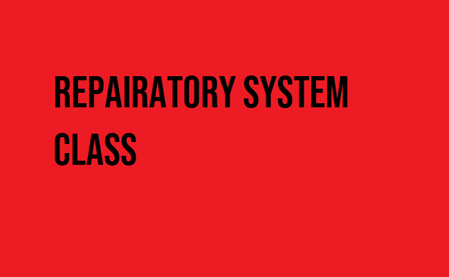 ANM Test Series 2025 