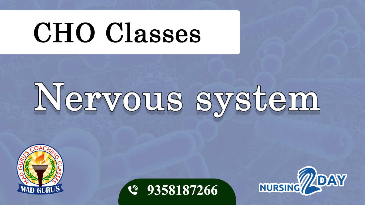 ANM Test Series 2025 