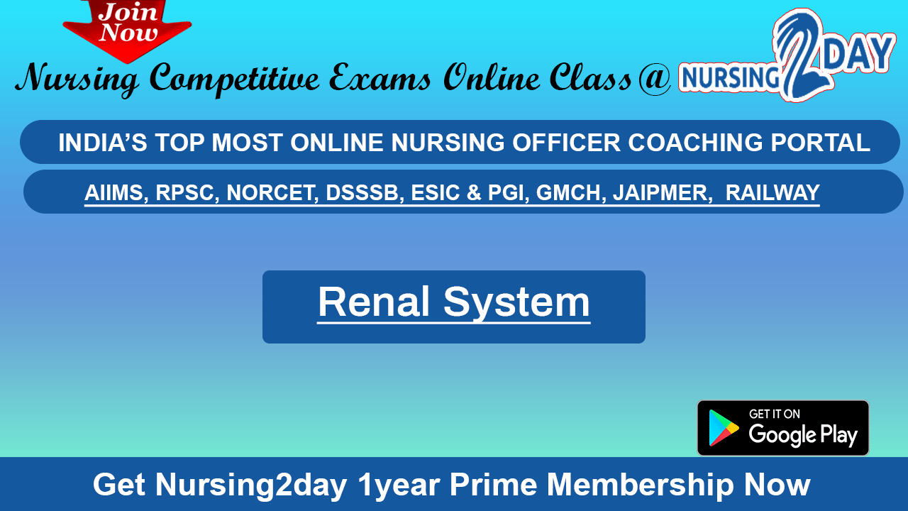 ANM Test Series 2025 