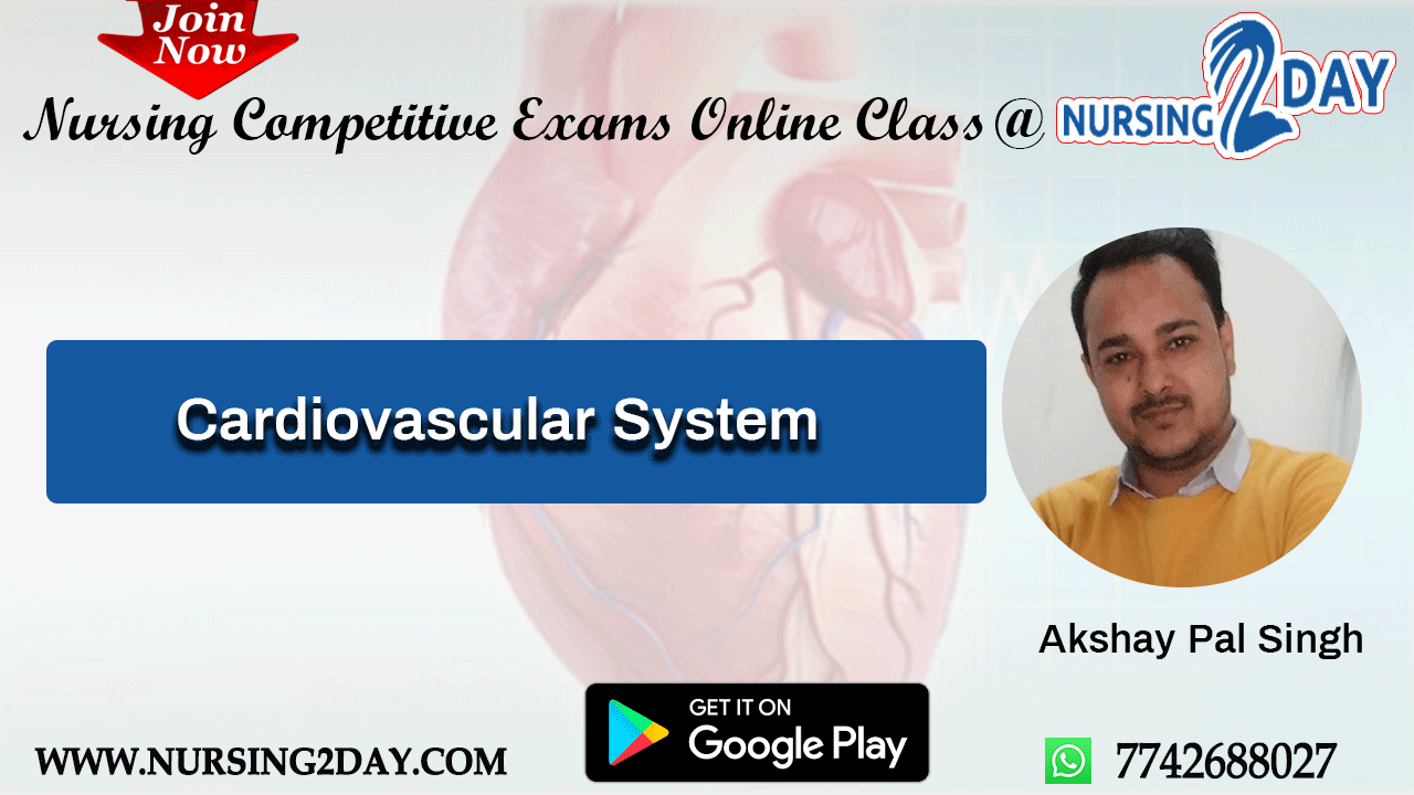 ANM Test Series 2025 